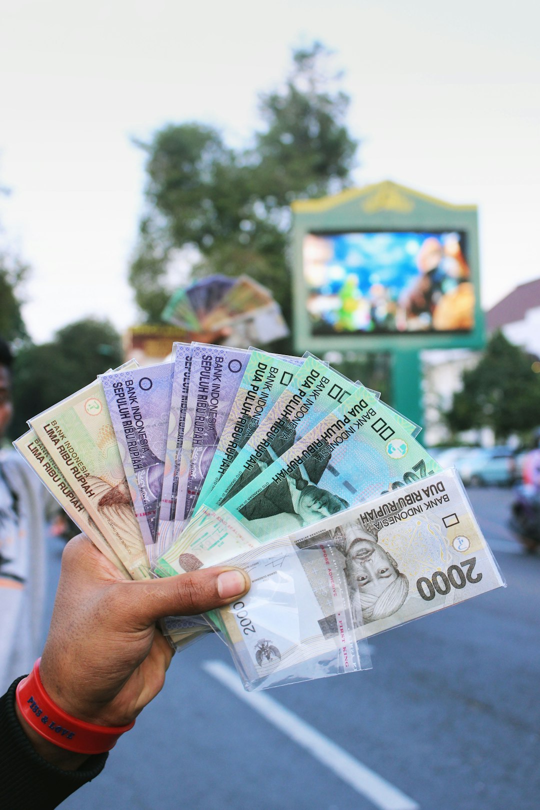 gallery-3 person-holding-fan-of-banknote-peh5xbgei7g